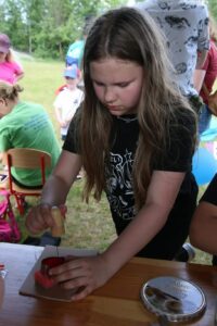 finał akcji szafowanie