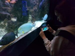 konkurs odczytywania mowy z ust w Wejherowie