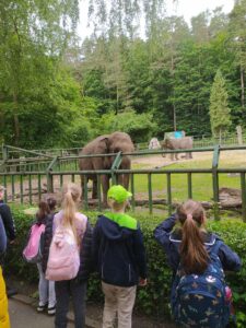 KLASY I-III POZDRAWIAJĄ Z TRÓJMIASTA