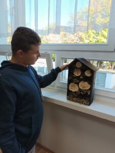 wolontariusze budowali wspaniały hotel dla owadów