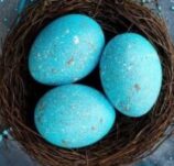 WESOŁYCH ŚWIĄT WIELKANOCNYCH!